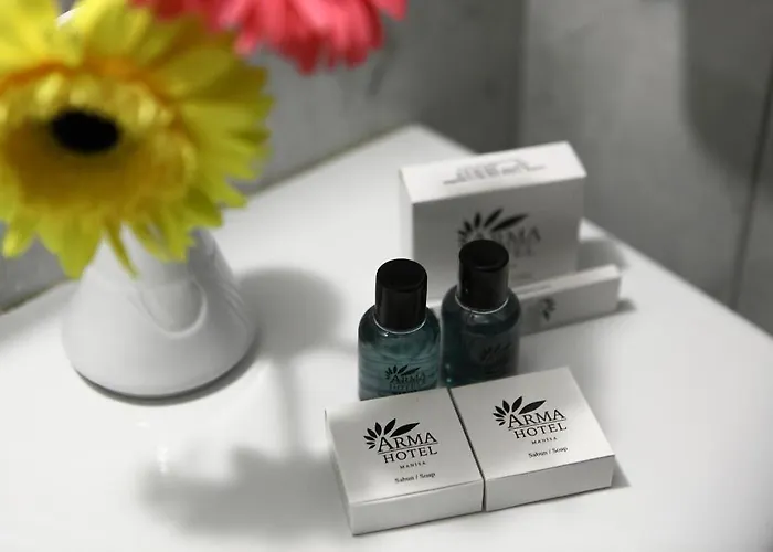 Arma Отель 3*